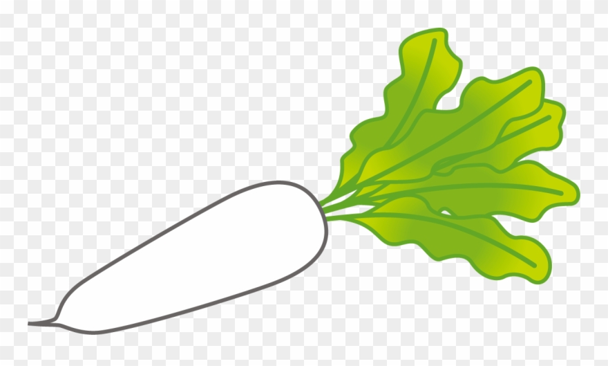 Hawaiian Flower Clipart - Daikon Clipart - Png Download