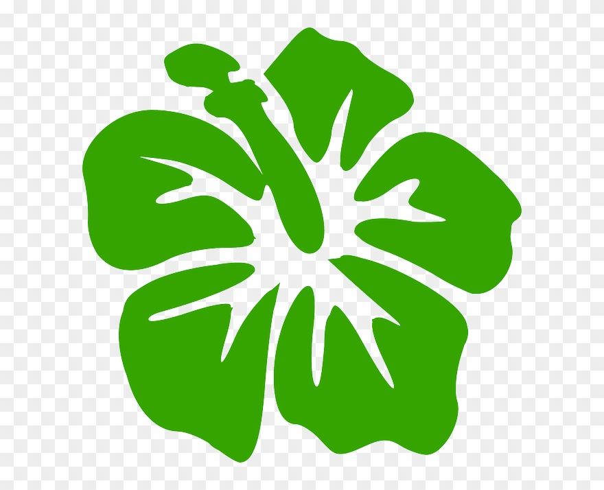 Rose Of Sharon Vector Clipart