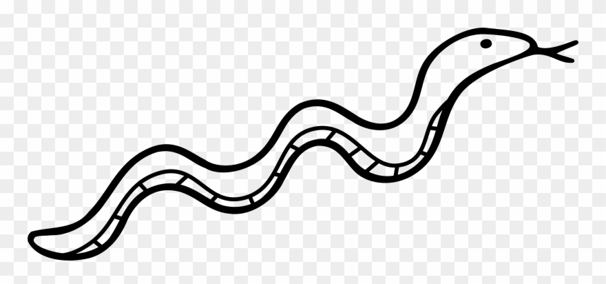 Kids Art Project Rainforest Oil Pastels Official Blog - Clip Art Snakes Black And White - Png Download