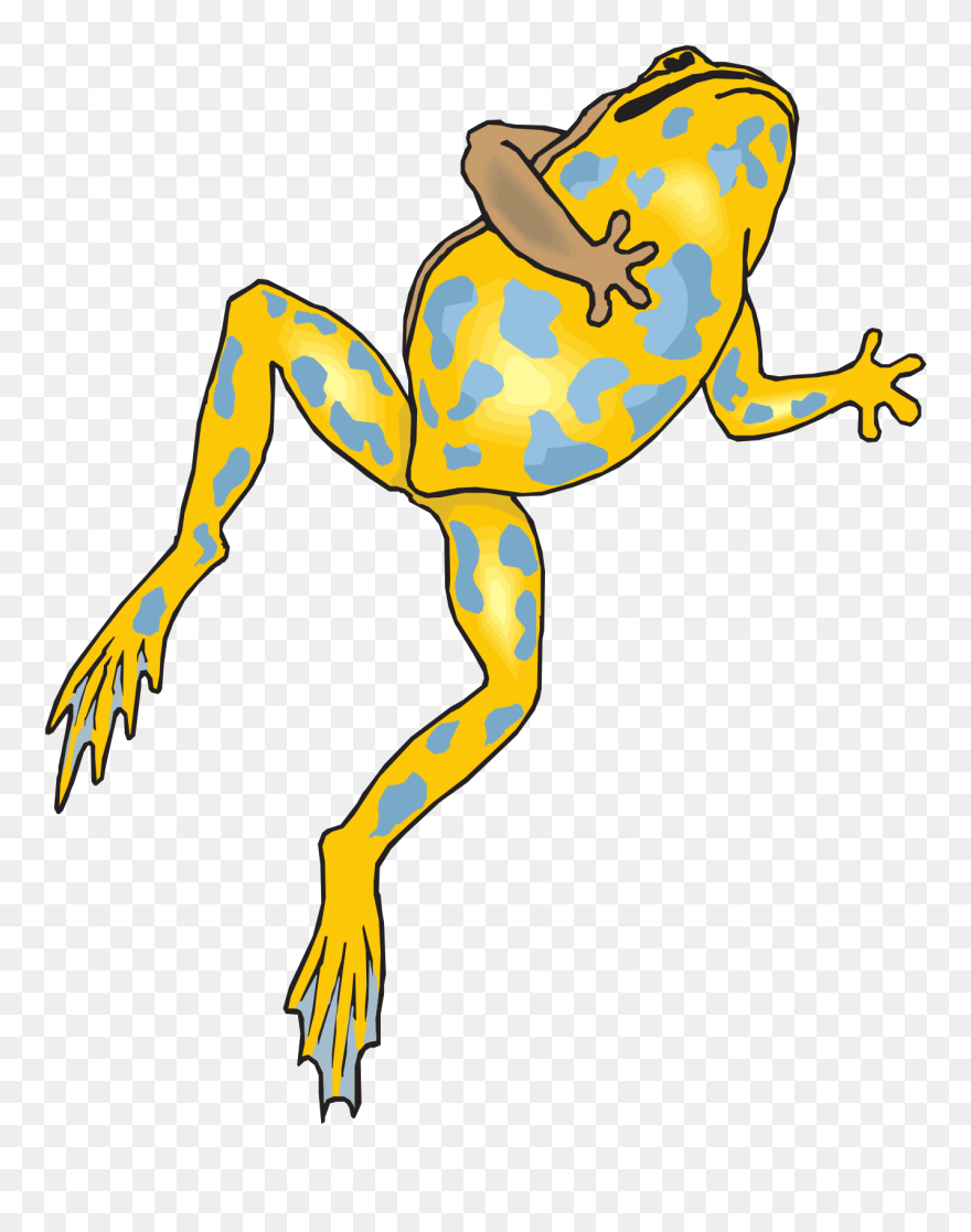 Jungle Frog Cliparts - Ancas De Rana Dibujo - Png Download