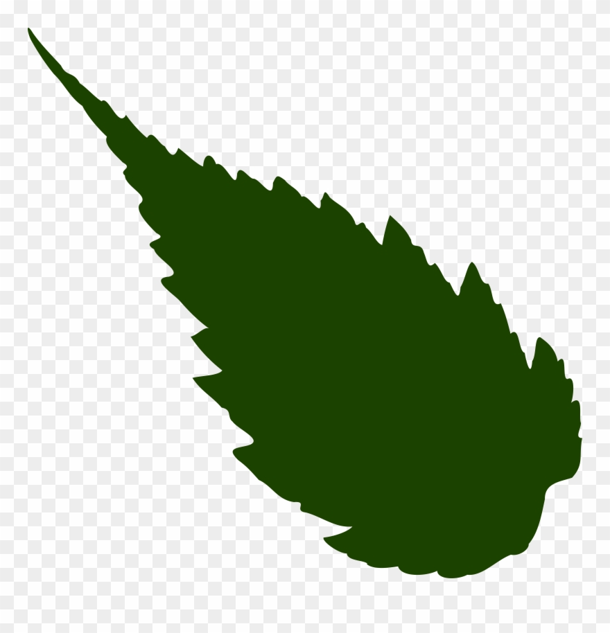 clipart jungle displaying rose leaf vector png transparent png 169549 pinclipart rose leaf vector png transparent png