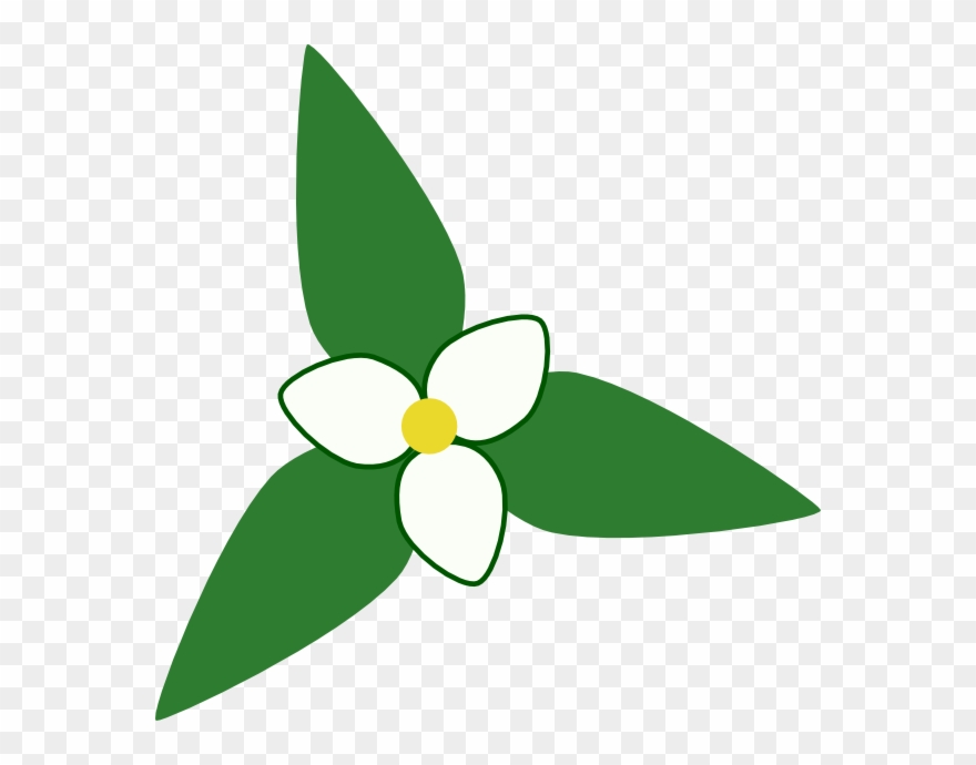 Map Clip Art - Trillium Clipart - Png Download
