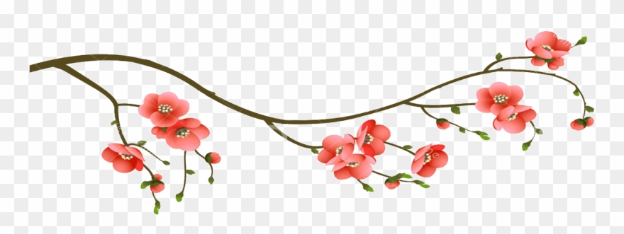 Cherry Blossom Branch - Rama Con Flores Dibujo Clipart