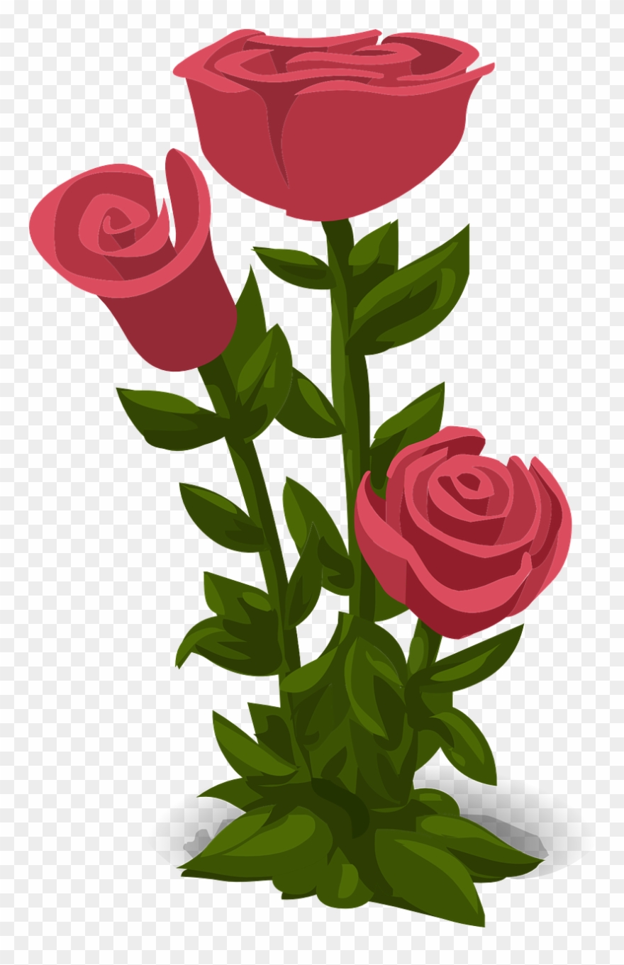 Wedding, Roses, Pink, Flowers, Floral, Nature - Hoa Hong Vector Png Clipart