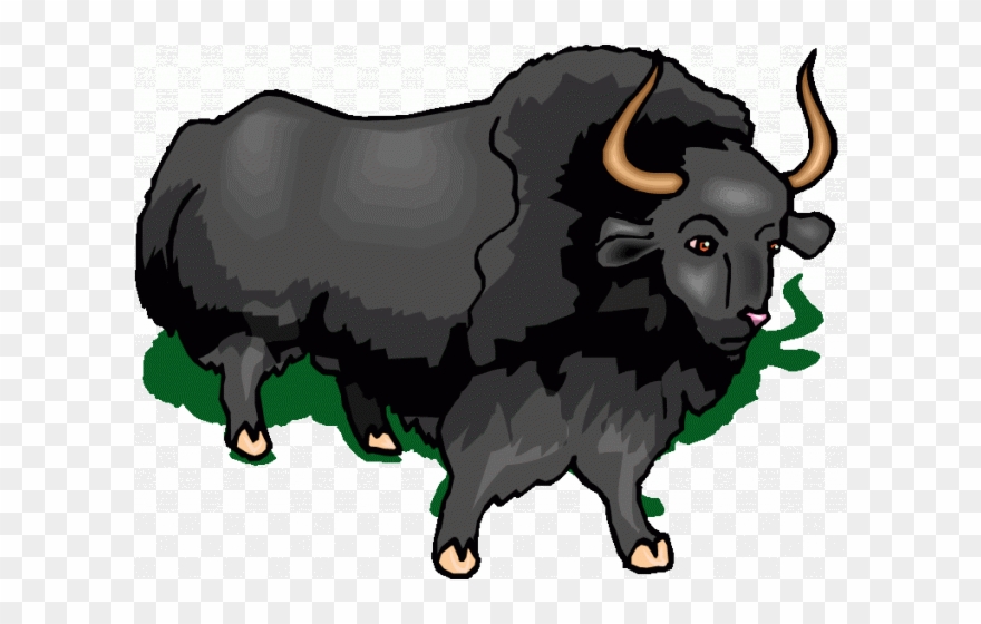 Muskox Clipart Buffalo - Buffalo - Png Download