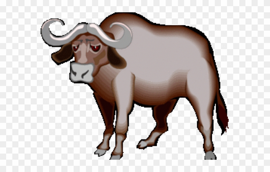 African Buffalo Clipart Cape Buffalo - Water Buffalo Clip Art - Png Download