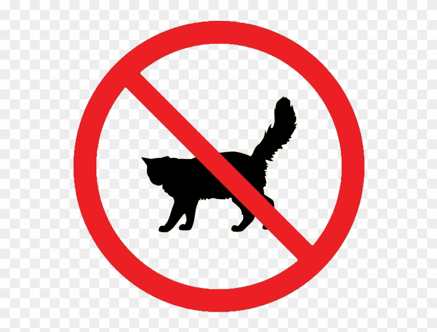 Image Result For No Cats Allowed - No Cats Sign Clipart