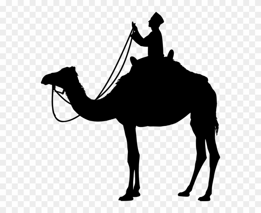 If You Find This Image Useful, You Can Make A Donation - Camello Silueta Png Clipart