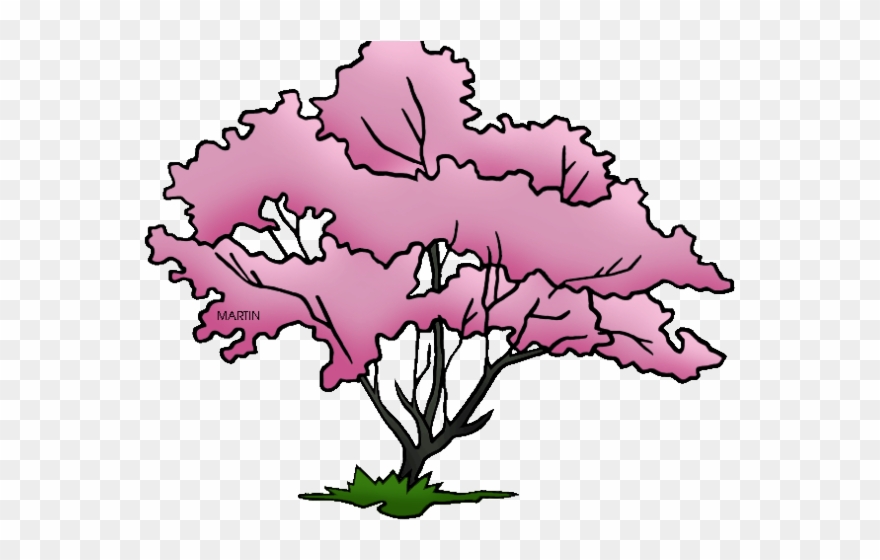 Pretty Clipart Dogwood Tree - Virginia State Tree Drawing - Png Download
