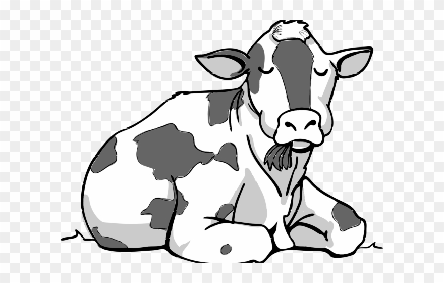 Drawn Cow Clip Art - Cow Sitting Cartoon - Png Download