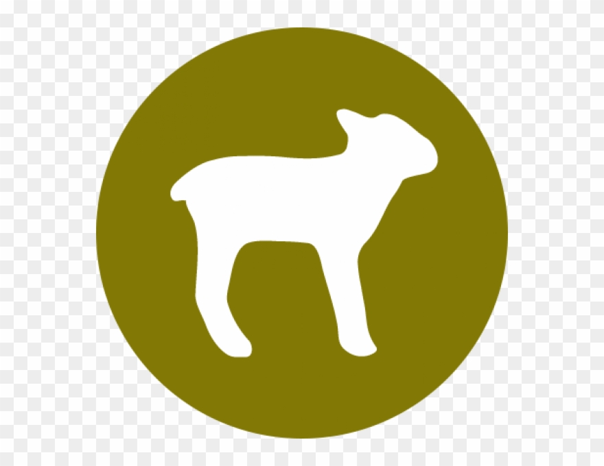 Halo Uses Only Real Whole Meat, Poultry, Or Fish, And - Mile End Station Clipart