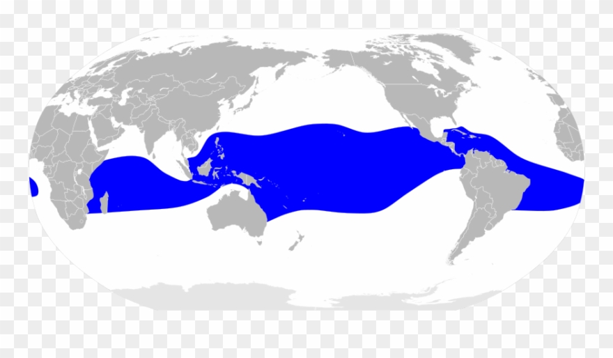 Sula Sula Map - Apec Business Travel Card Map Clipart