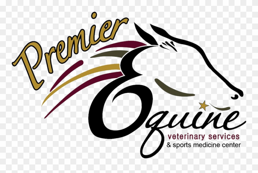 Premier Equine Veterinary Services And Sports Medicine - Premier Equine Veterinary Services Clipart
