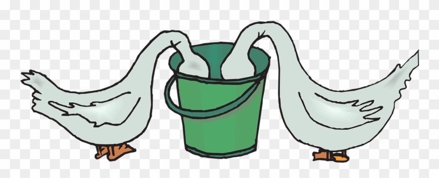 During Summer Of 2018, Lehigh County Conservation District - Food Clipart