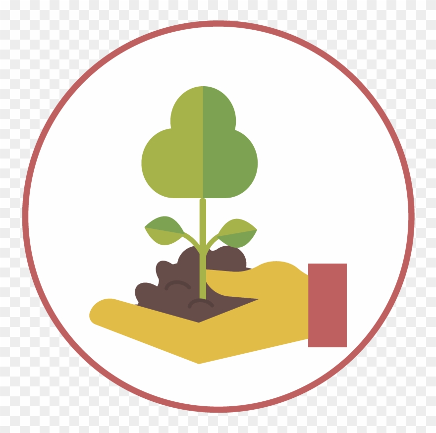 Generates More Effective Conservation Of Biodiversity - Body Clipart