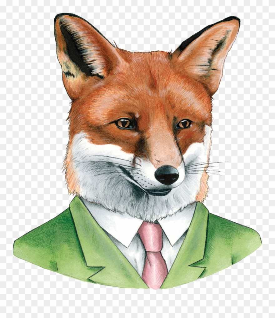 Clip Art Pictures Of Red Fox - Red Fox Illustration - Png Download