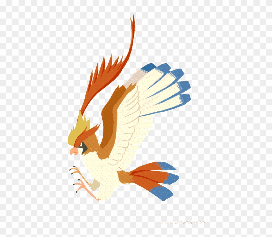 Rotom Love Owo Mega Hairstyle Ｏ ノ - Pidgeot Clipart