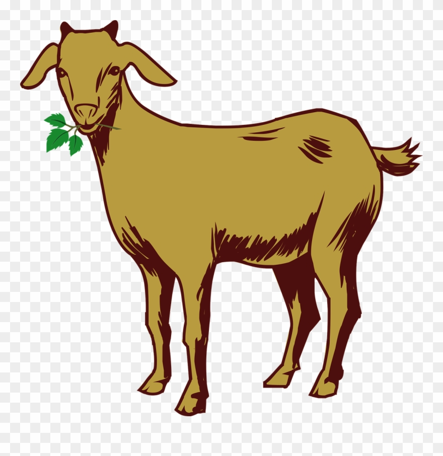 Free Goat Clipart 6, Buy Clip Art - Goat Drawing With Color - Png Download