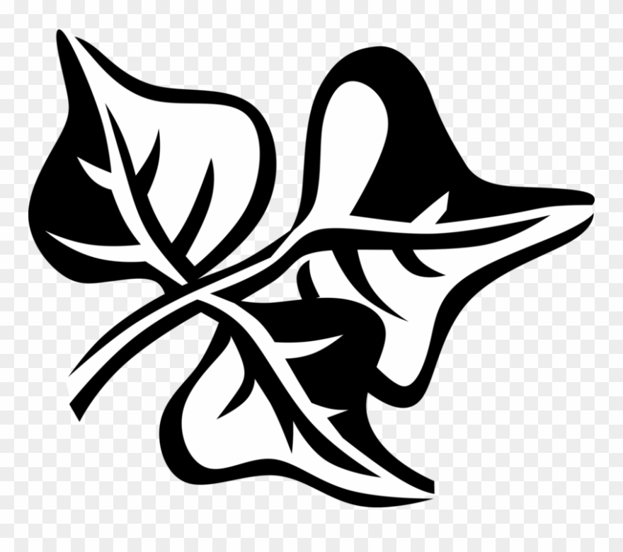 Vector Illustration Of Coral Bean Botanical Horticulture Clipart