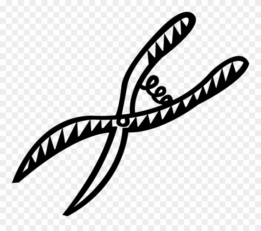 Vector Illustration Of Pruning Shears Hand Tool Used - Renaissance Clipart