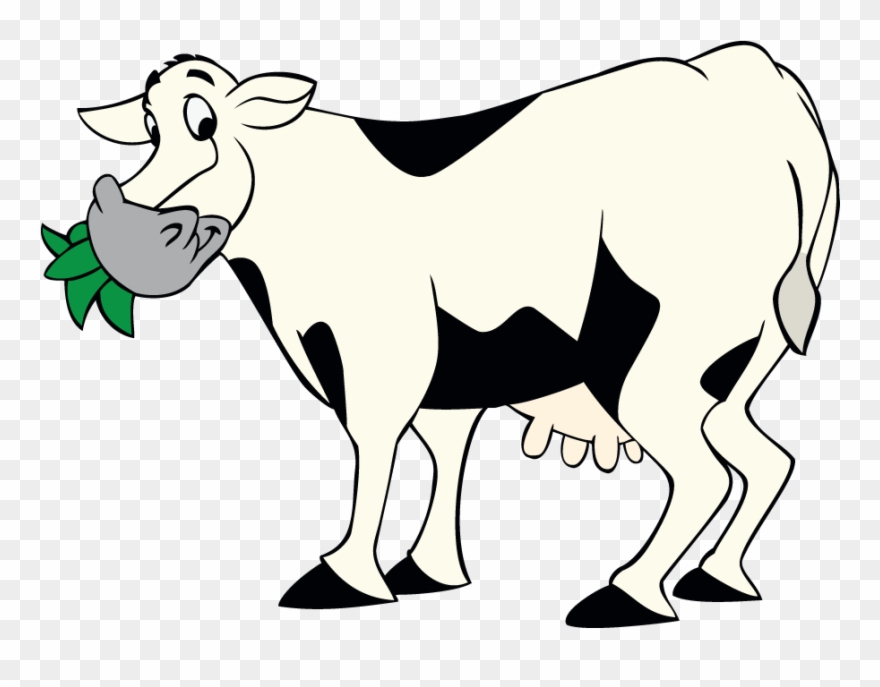 Cow Chewing Grass - Cattle Clipart