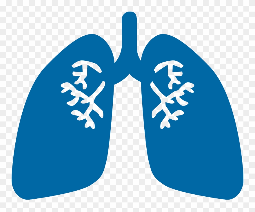 Respiratory - Copd Pipeline Clipart