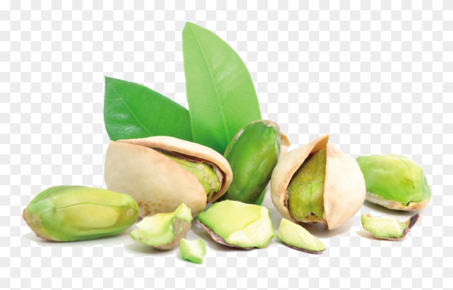 Pistachio - Pistachio Png Clipart