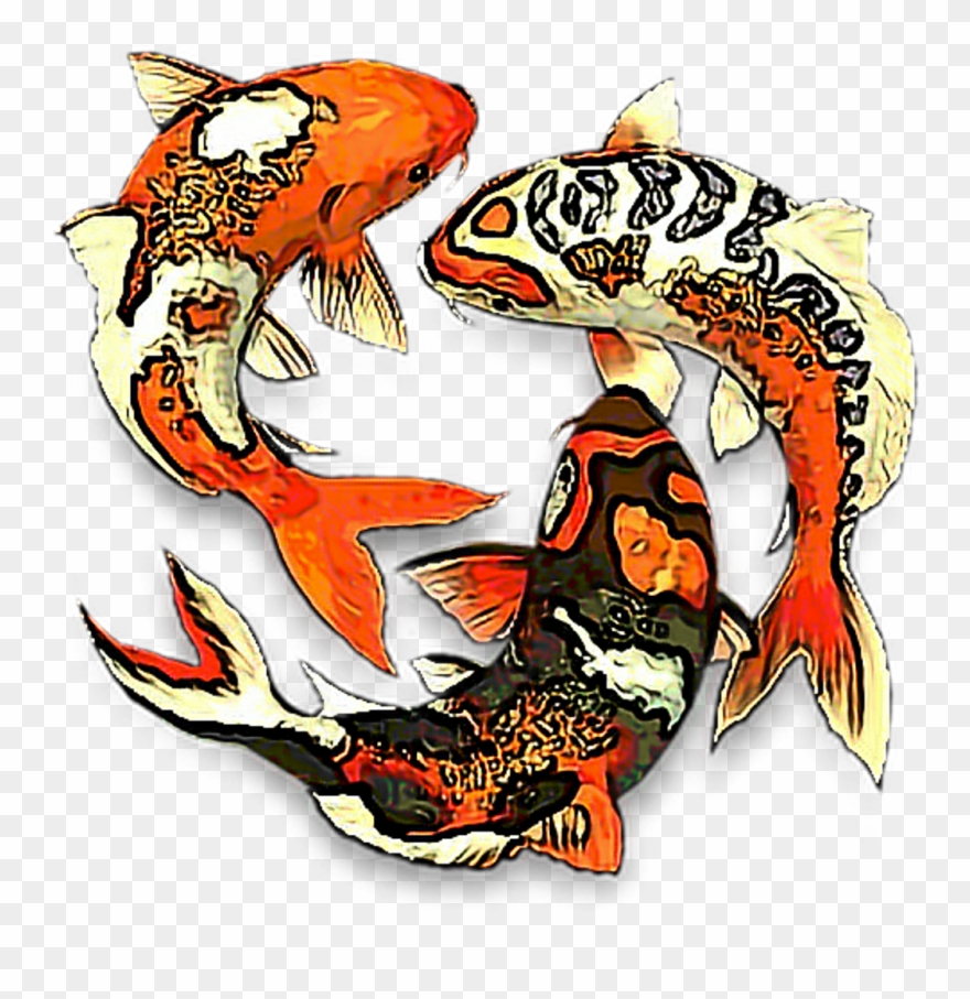 Koifish Aesthetic Koi Fish Fishes Fishbowl Water Fishes - Fish Clipart