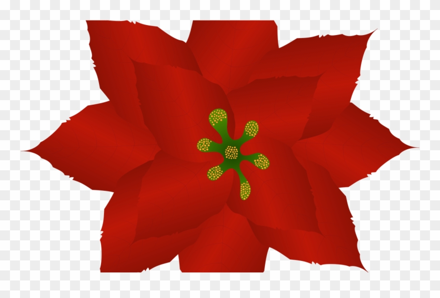 Free Clip Art Christmas Poinsettia Plants - Clip Art - Png Download
