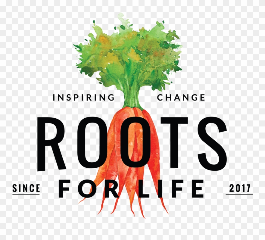 Food Insecurity And Its Effects In Washington, D Clipart