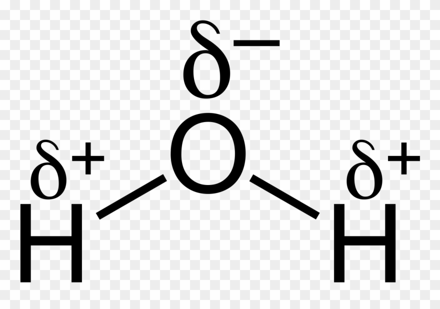 H2o Chemical Bond - Structure Of Water With Partial Charges Clipart