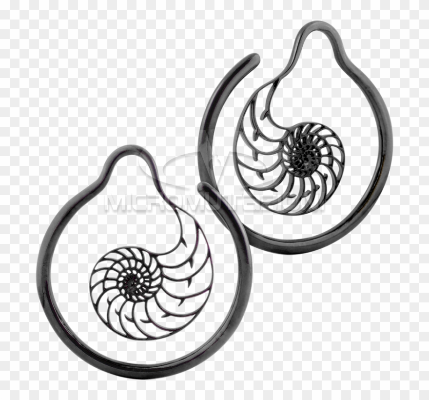 Black Brass Hoop Nautilus Earrings Ear - Nautilidae Clipart