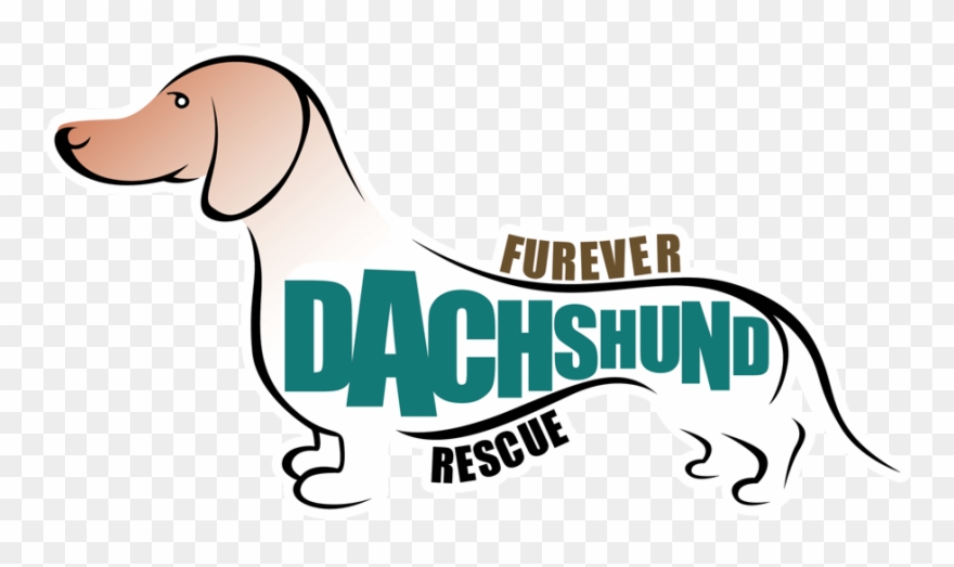 Clip Art Black And White Download Welcome Bluebrown - Mini Dachshund Rescue California - Png Download