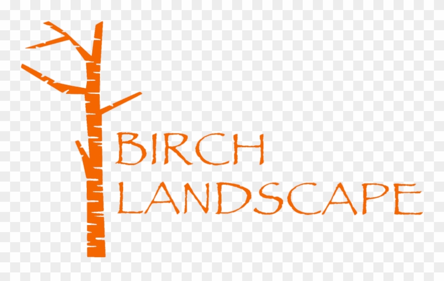 Birch Landscaping - Sage Stance: A Remarkable Meditation Technique To Shift Clipart