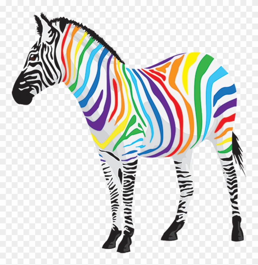 Your Emotions And Moods - Coloured Zebra Clipart