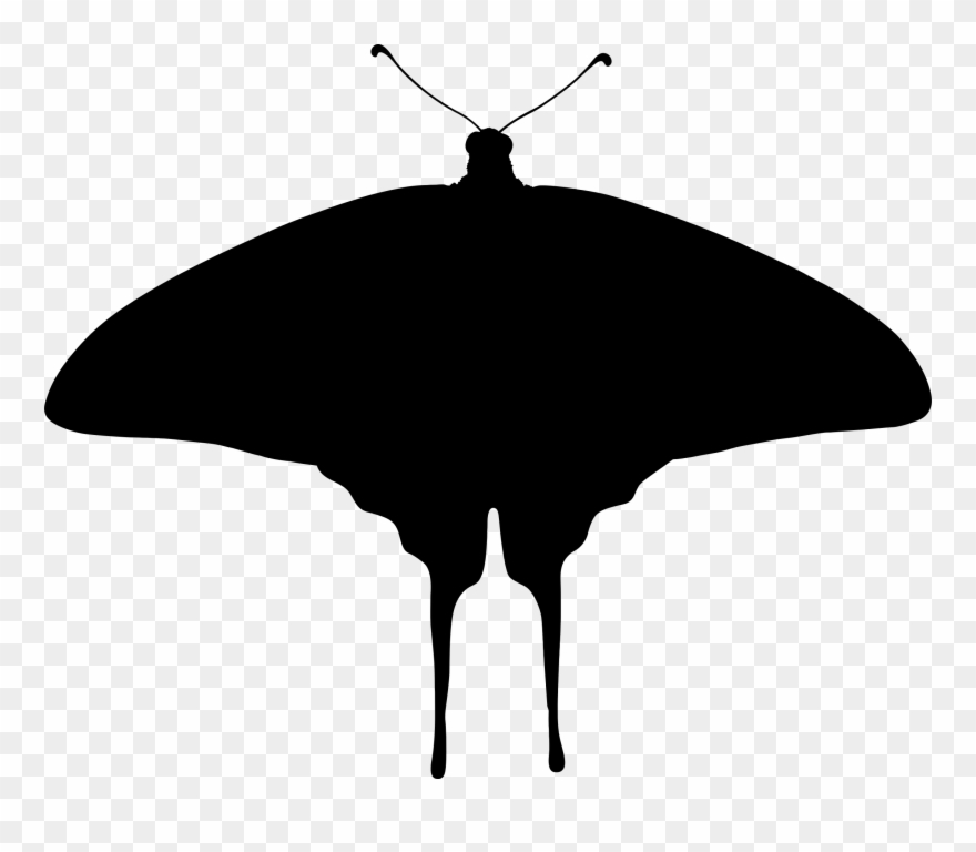 Clipart - Lepidoptera - Png Download