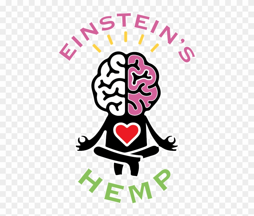 Einstein's Hemp - Analogy Practice For Junior Secondary School: Vocabulary Clipart
