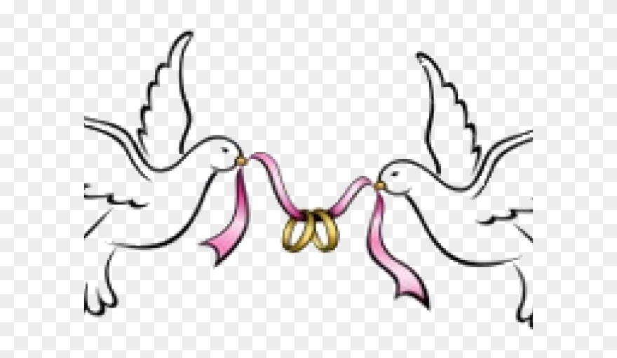 Dove Clipart Wedding - Wedding Dove Clipart Png Transparent Png