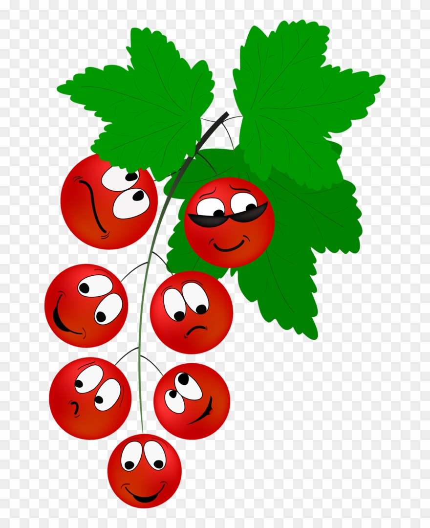 Фотохостинг С Оплатой - カラス ノ エンドウ 果実 イラスト Clipart