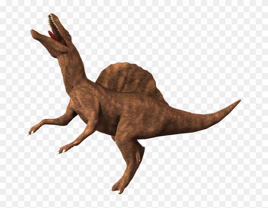 Komodo Dragon Clipart 21, Buy Clip Art - Ravage Throw Blanket - Png Download