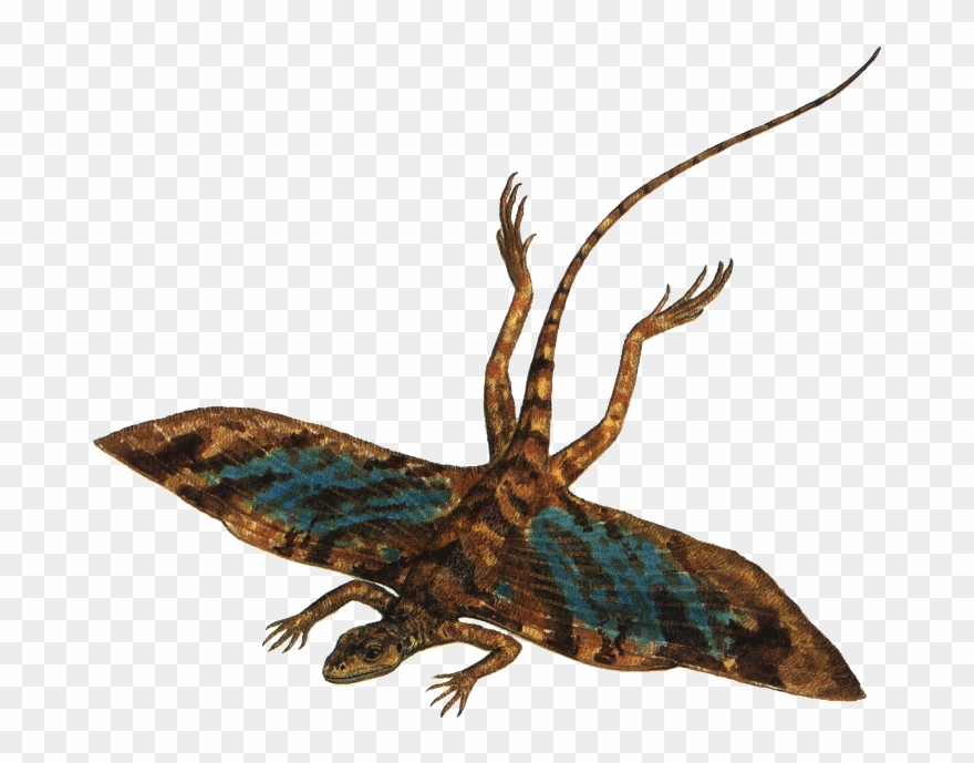 Clip Art Library Download Modern Dragons Serpent Of - First Birds - Png Download