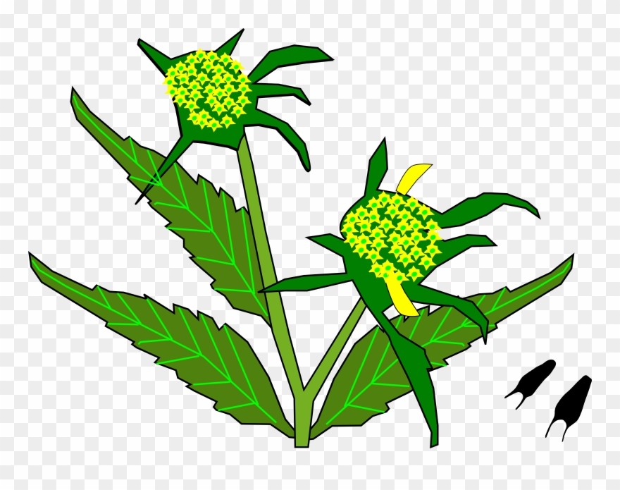 Big Image - Portable Network Graphics Clipart