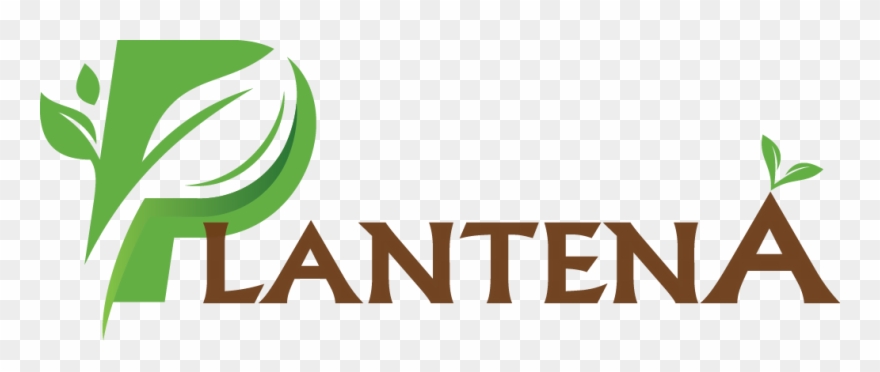 Logo Plantena - Graphic Design Clipart