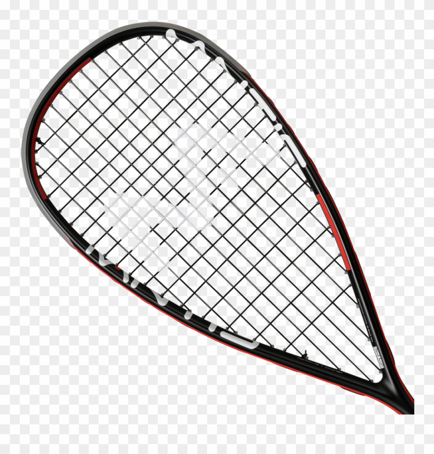 Mantis Power Squash Racket - Mantis Pro 295 Ii Clipart