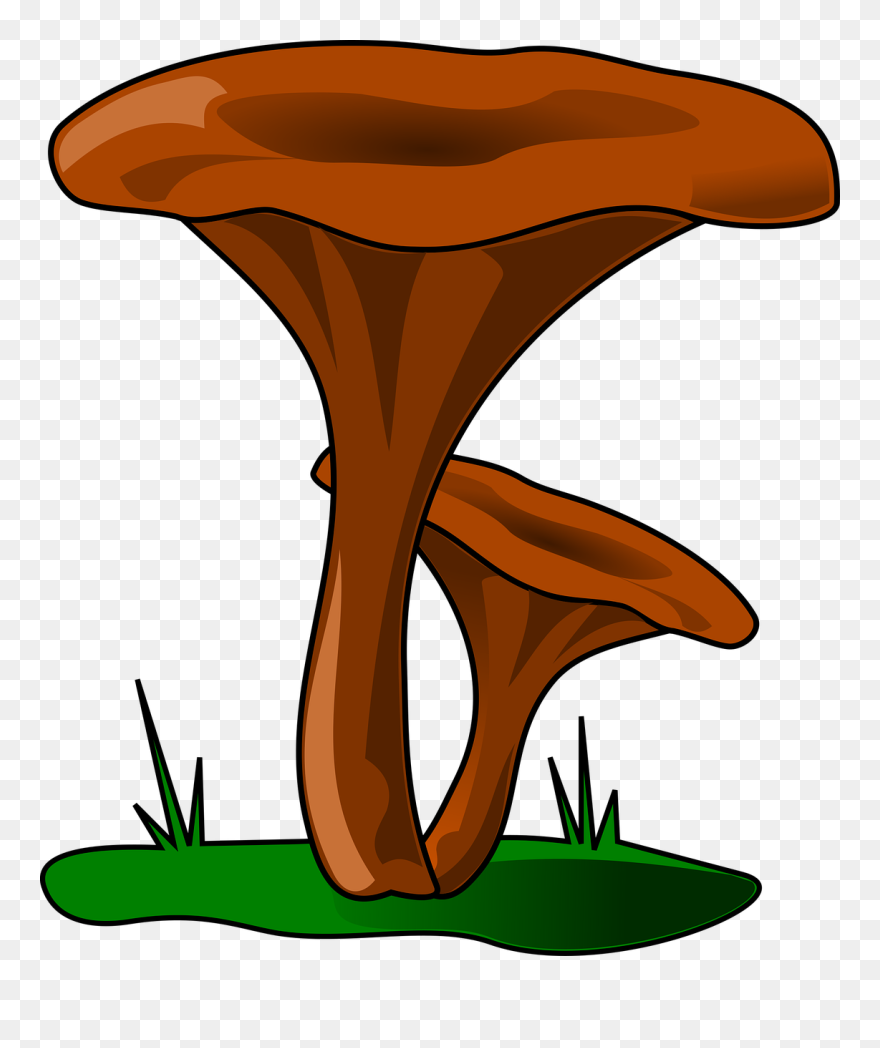 Kanttarelli Piirros Clipart Fungus Mushroom Clip Art - Drawing - Png Download