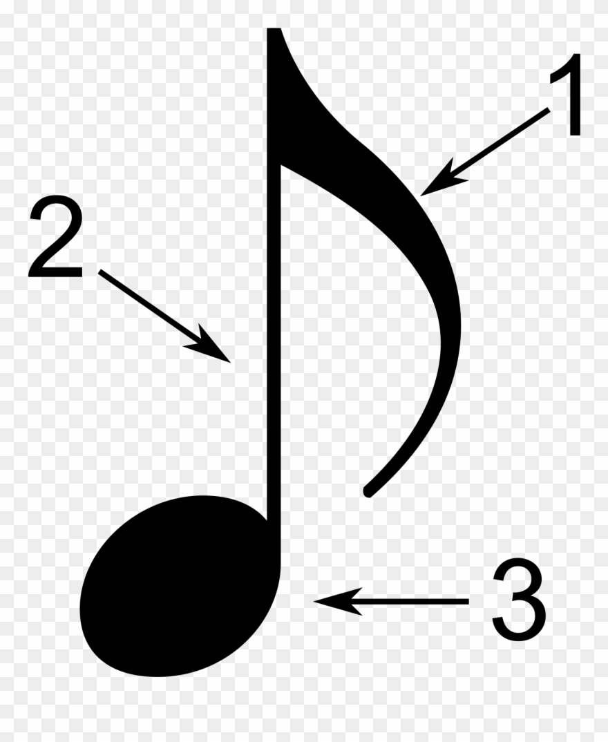 Pictures Of A Musical Note 22, Buy Clip Art - Parts Of The Note - Png Download