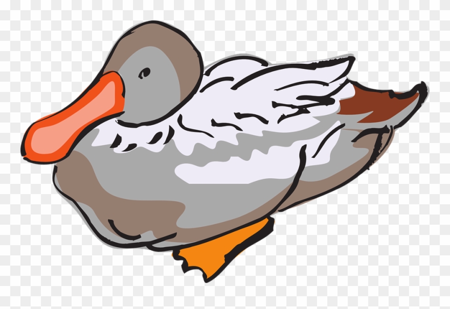 Duck Feathers Cliparts 13, Buy Clip Art - Mainan Anak Binatang Liar Karet - Png Download