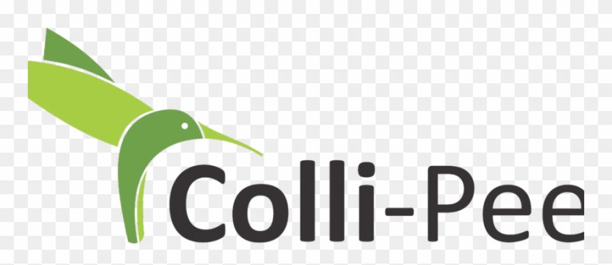 Saltro Launches Directlab, A Web-based Service Providing - Illustration Clipart