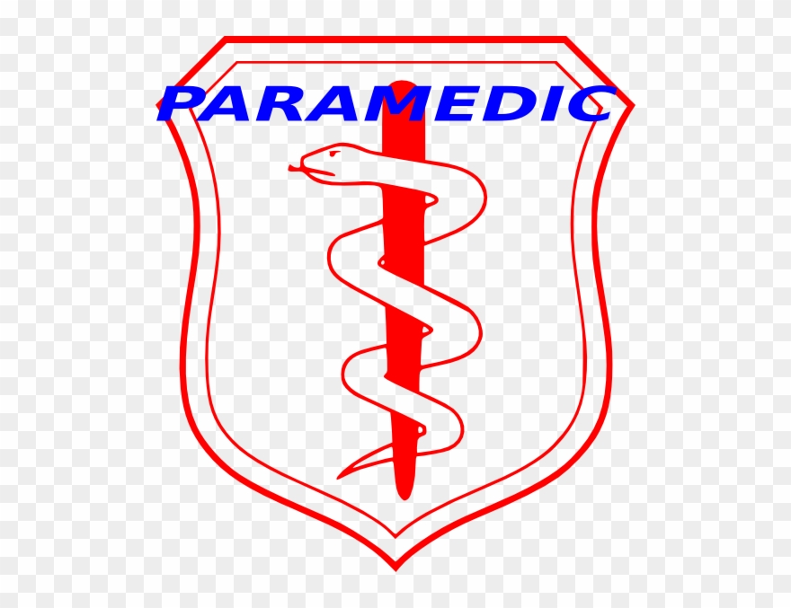 Air Force Flight Nurse Insignia Clipart