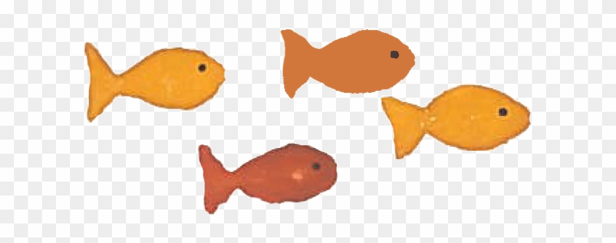 Always Too Quick - Animated Fish Gif Transparent Background Clipart